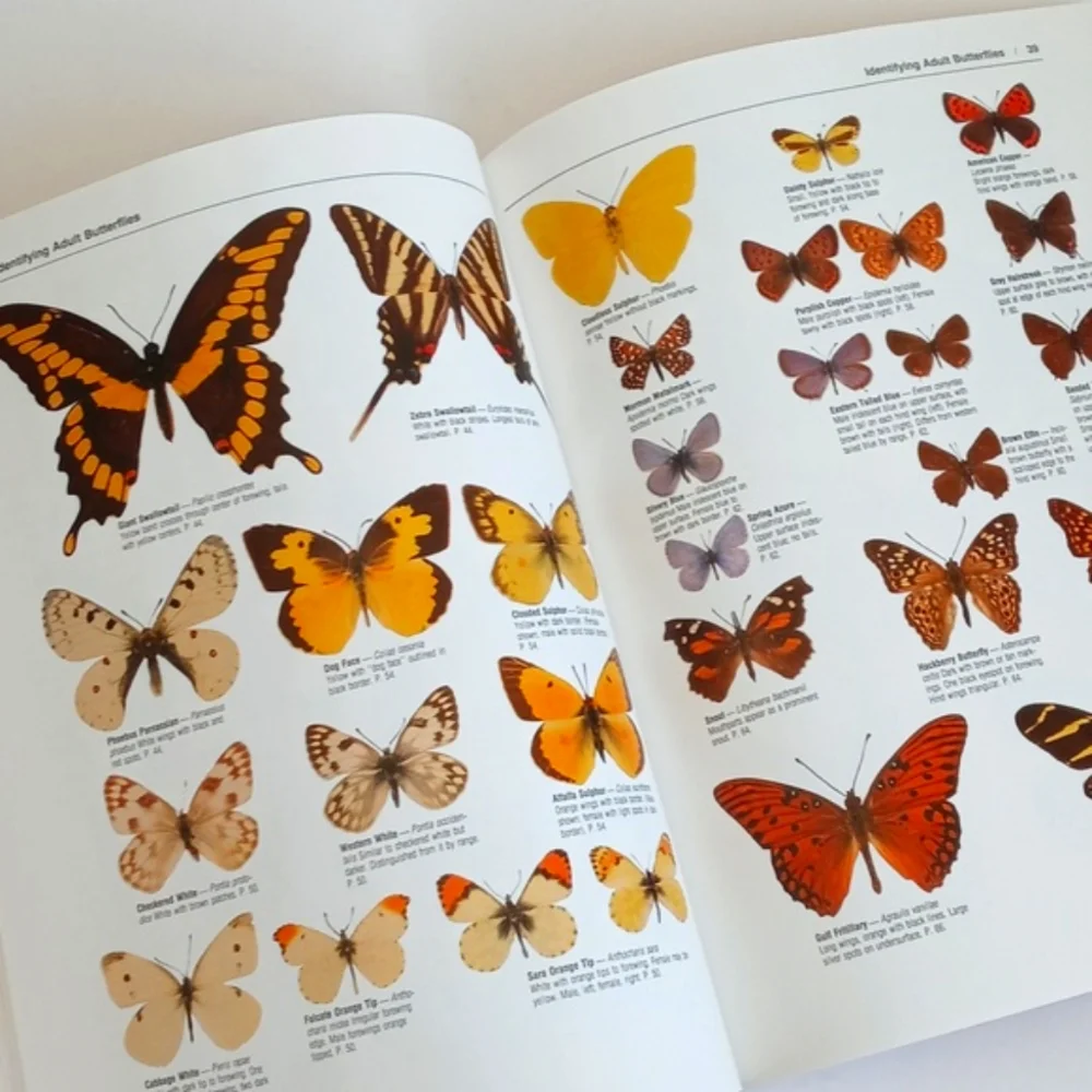 The Butterfly Book by Stokes and Williams (Butterfly and Gardening Planning)